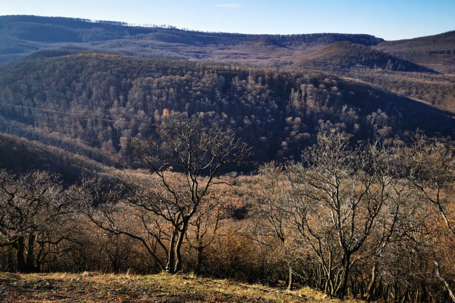 Dobogókő