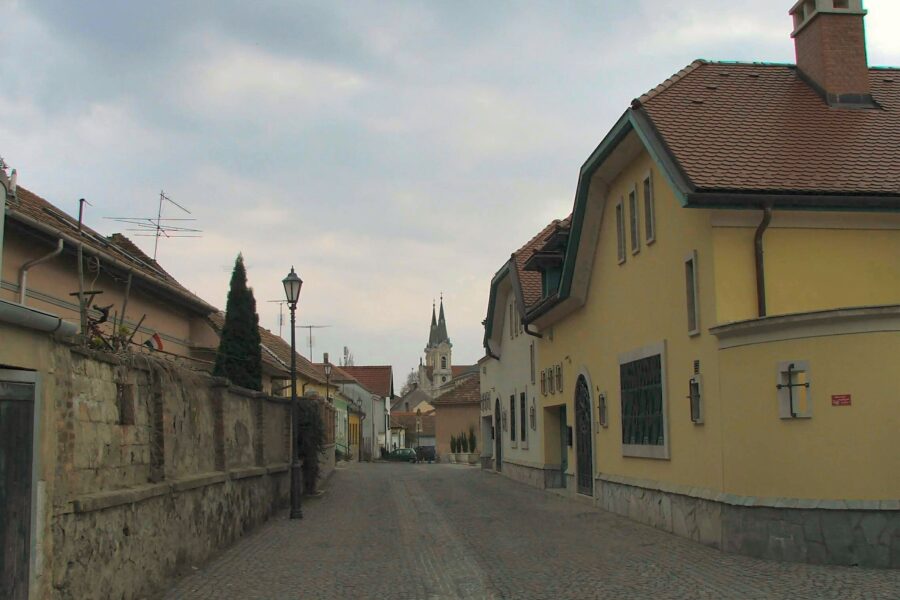 Víziváros és a Vízivárosi (Szent Ignác) plébániatemplom